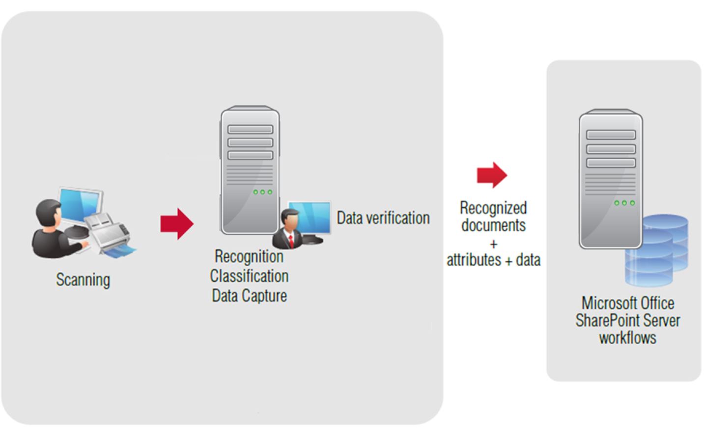 Scan recognition tool